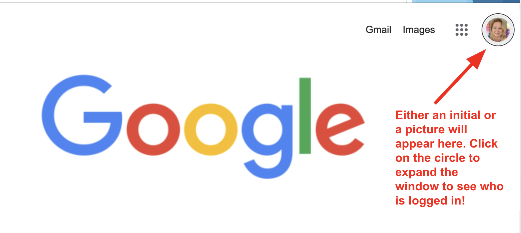 Google Login Icon